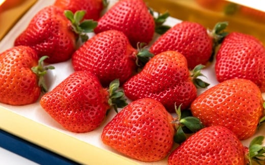 千年いちご スーパープレミアム あまおうイチゴ (450g) 1月お届け あまおう いちご イチゴ 苺 フルーツ 果物 冷蔵 送料無料 福岡県 うきは市 【2026年1月より順次発送予定】