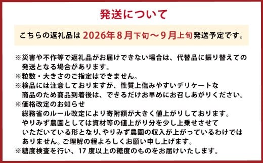 【先行予約】 やりみず農園 農家厳選！ シャインマスカット 2房から3房（約1kg） 【2026年8月下旬～9月上旬発送予定】 シャインマスカット ぶどう ブドウ 葡萄 くだもの 果物 フルーツ 果実 福岡県 うきは市