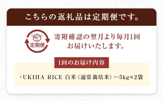 【3ヶ月定期便】 みずほファーム UKIHA RICE 白米 5kg×2袋×3回 （通常栽培米） 計30kg ヒノヒカリ ひのひかり 精米 米 こめ コメ お米 おこめ 白米 精米 ごはん ご飯 お中元 お歳暮 ギフト プレゼント 贈答品 定期便 おすすめ 国産