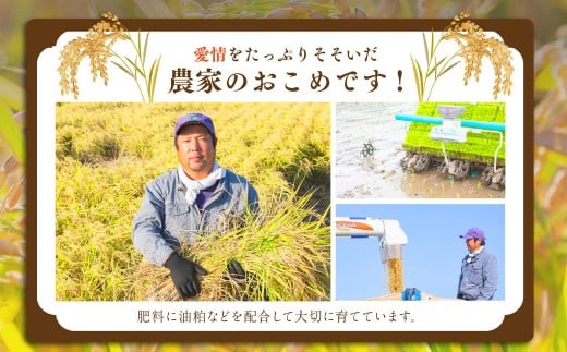 【6ヶ月定期便】日永園 ヒノヒカリ 白米5kg×6ヶ月 【2025年11月下旬より発送予定】 米 お米 ご飯  うきは市