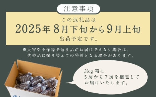 【先行予約】 宝玉農園 ピオーネ 5房～7房 （約3kg） 【2026年8月下旬～9月上旬より順次発送予定】 葡萄 ぶどう ブドウ 大粒 種無し 種なし 果物 くだもの フルーツ 果実 お取り寄せ 福岡県 うきは市 冷蔵