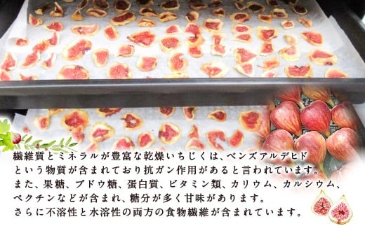 吉瀬森果園 イチジク (とよみつひめ) セミドライフルーツ (45ｇ×3袋)  計135ｇイチジク いちじく 旬 フルーツ 果物 果実 常温 送料無料 福岡県 うきは市