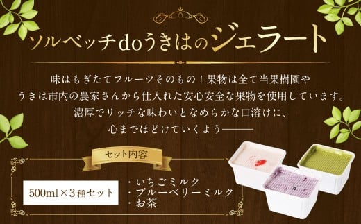ソルベッチdoうきは ジェラート500ml×3個セット フルーツ ミルク スイーツ デザート ジェラート シャーベット アイス いちごミルク ブルーベリーミルク オリーブ塩ミルク お茶 セット 冷凍 福岡県 うきは市