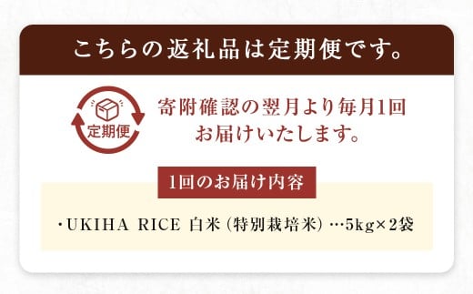 【3ヶ月定期便】 みずほファーム UKIHA RICE 白米 5kg?2袋?3回 （特別栽培米） 計30kg ヒノヒカリ ひのひかり 精米 米 こめ コメ お米 おこめ 白米 精米 ごはん ご飯 お中元 お歳暮 ギフト プレゼント 贈答品 定期便 おすすめ 国産