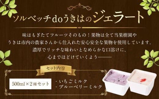 ソルベッチdoうきは ジェラート500ml×2個セット フルーツ ミルク スイーツ デザート ジェラート シャーベット アイス いちごミルク ブルーベリーミルク セット 冷凍 福岡県 うきは市