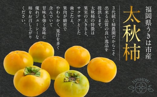 【先行予約】 西見柿農園 特選太秋柿 5玉から6玉 （約2kg） 贈答用 ギフト 【2026年11月上旬-12月上旬発送予定】 完熟柿 柿 かき カキ 太秋 たいしゅう 完全甘柿 果物 くだもの フルーツ 果実 ジューシー 樹上完熟 お取り寄せ 福岡県 うきは市