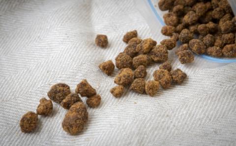 アグリファームさいとう 天然黒砂糖 （つぶタイプ200g×2袋） さとうきび 黒砂糖 うきは市