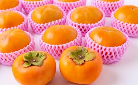 【先行予約】道の駅うきは 富有柿 14玉から15玉 2025年11月中旬から11月下旬 出荷予定