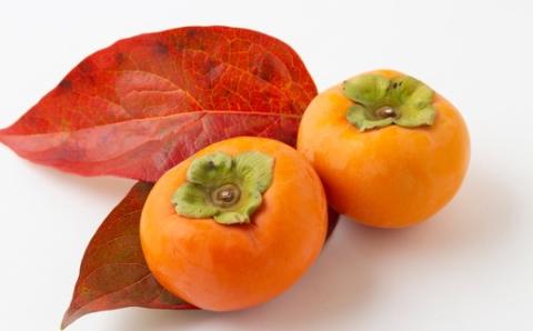 【先行予約】江藤農園 富有柿 16玉から19玉(約5kg) 2025年11月中旬から11月下旬 出荷予定