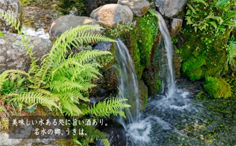 いそのさわ 浮羽 リキュール 38° (720ml 化粧箱入り) お酒 酒 アルコール ロック ソーダ割り 贈答用 プレゼント 贈り物 福岡県 うきは市