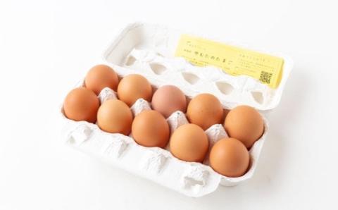 うきはの朝ごはん Cセット （米2kg・卵10個・醤油150ml・ハム／ソーセージ5本・筒型ソーセージ） 米 こめ コメ お米 流川米 ヒノヒカリ 卵 平飼有精卵 平飼いたまご 醤油 しょう油 本醤油 ハム ソーセージ プレーン ガーリック 朝ごはん 朝ご飯 朝食 卵かけご飯 目玉焼き 卵焼き セット 詰め合わせ 詰合せ お取り寄せ 福岡県 うきは市