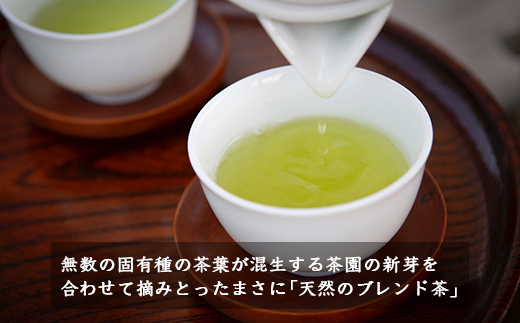 楠森堂 実生在来茶2種 (特上煎茶80g)・(特上ほうじ茶30g) セット 計110g お茶 茶 お茶の葉 茶葉 煎茶 緑茶 ほうじ茶 焙じ茶 焙茶 福岡県 うきは市