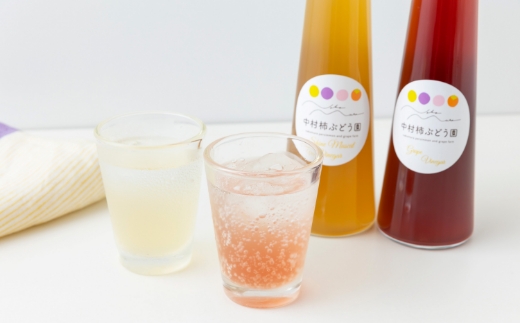 中村柿ぶどう園 濃縮ぶどうビネガー2本セット(ぶどう・シャインマスカット) 各300ml フルーツビネガー 果実酢 フルーツ酢 お酢 酢 ビネガー 濃縮タイプ 飲料 福岡県 うきは市