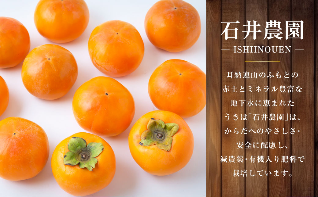 【先行予約】石井農園 富有柿 9玉から12玉 2025年11月中旬から12月上旬 出荷予定
