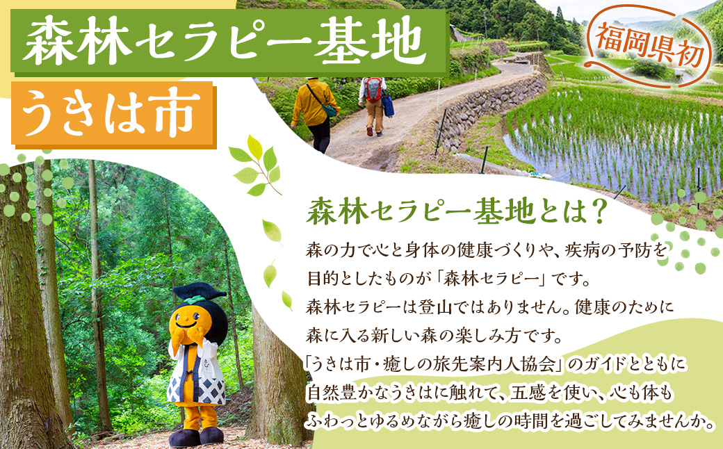 【参加型体験】うきは市森林セラピー （森のティータイム付き） 2名様 ／ 癒やし 森 リフレッシュ ハーブティー ティータイム うきは市
