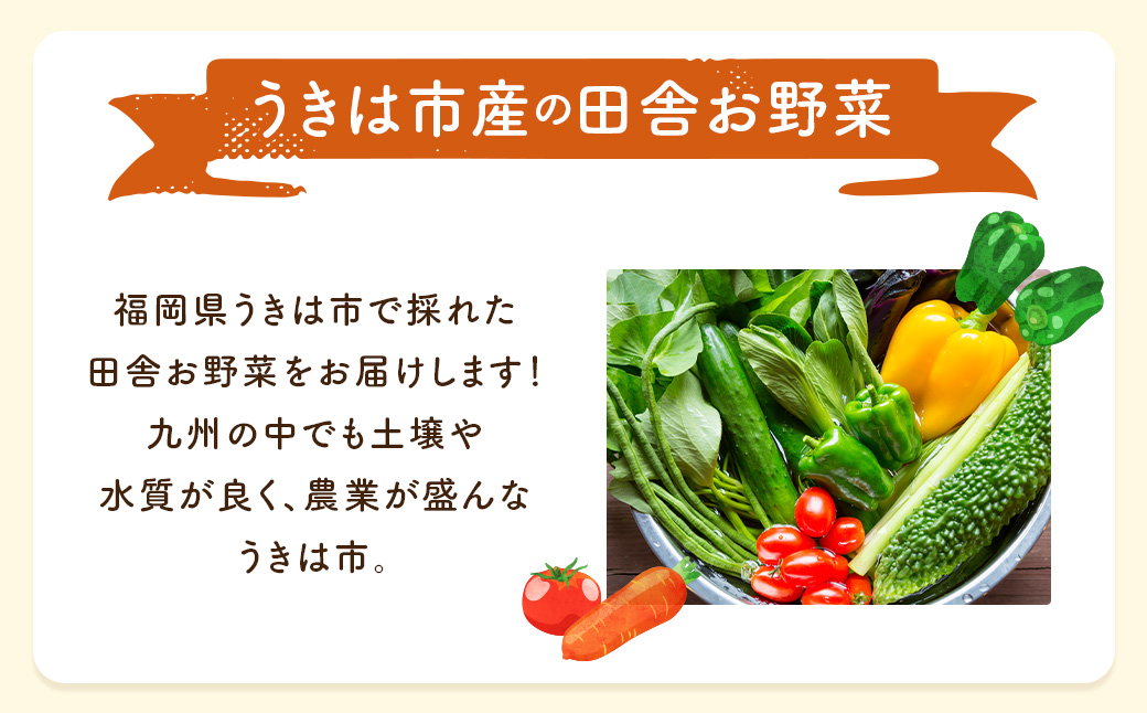 【月2回定期便】UIC 名水うきはの無農薬減農薬お野菜セット (ひと月2回×半年間=計12回)