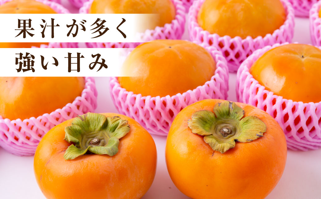 【先行予約】道の駅うきは 冷蔵富有柿 8玉から9玉 2025年12月中旬から2026年1月下旬 出荷予定