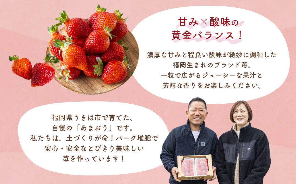 千年いちご あまおうイチゴ (300g×4パック) 12月お届け あまおう いちご イチゴ 苺 フルーツ 果物 冷蔵 送料無料 福岡県 うきは市 【2025年12月下旬より順次発送予定】