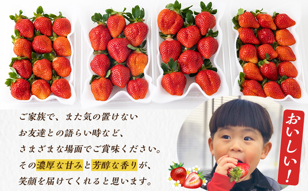 Green's 「いちごの王様」目指す福岡県産あまおう 250g×4パック 2月分 あまおう いちご イチゴ 苺 フルーツ 果物 冷蔵 送料無料 福岡県 うきは市 【2026年2月より順次発送予定】