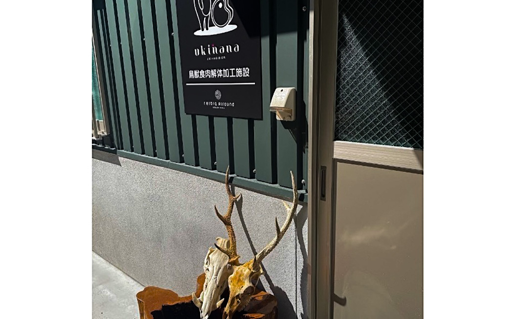 【ジビエ】 天然鹿肉 BBQカット 300g×2パック 天然鹿 鹿肉 シカ肉 赤身 ロース肉 モモ肉 スライス ジビエ ジビエ肉 ジューシー おかず BBQ バーベキュー キャンプ キャンプ飯 ジビエ料理 簡単調理 お取り寄せ 福岡県 うきは市