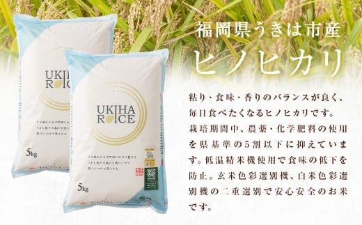 【3ヶ月定期便】 みずほファーム UKIHA RICE 白米 5kg?3回 （特別栽培米） 計15kg ヒノヒカリ ひのひかり 精米 米 こめ コメ お米 おこめ 白米 精米 ごはん ご飯 お中元 お歳暮 ギフト プレゼント 贈答品 定期便 おすすめ 国産