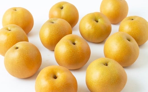 【先行予約】 鈴木農園 特撰甘果逸品 豊水梨 7玉から9玉 （約3kg） 【2026年8月下旬から9月上旬より順次発送予定】 完熟梨 梨 なし ナシ 豊水 ほうすい 果物 くだもの フルーツ 果実 新鮮 フレッシュ ジューシー お取り寄せ 福岡県 うきは市 冷蔵