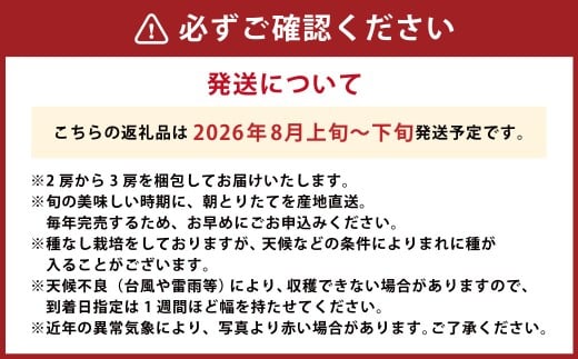 【先行予約】 やりみず農園 種なし 巨峰 2房から3房（約1kg） 【2026年8月上旬～下旬発送予定】 種なし巨峰 ぶどう ブドウ 葡萄 くだもの 果物 フルーツ 果実 福岡県 うきは市