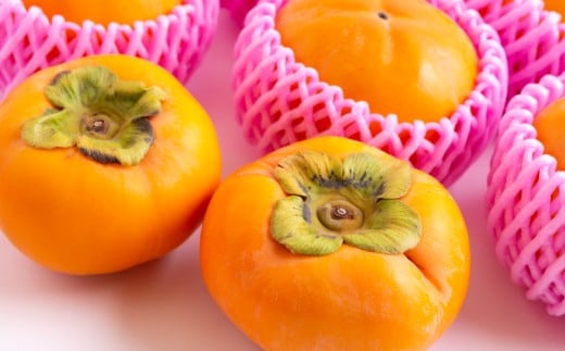 【先行予約】西見柿農園 富有柿 6玉から8玉 2025年11月下旬から12月上旬 出荷予定