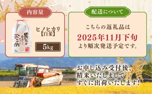 日永園 ヒノヒカリ 白米5kg 【2025年11月下旬より発送予定】 米 お米 ご飯  うきは市
