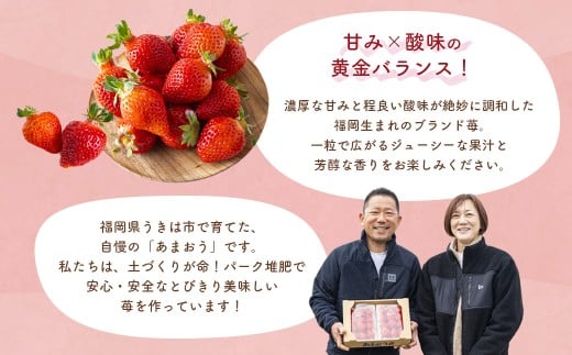 千年いちご あまおうイチゴ (300g×2パック) 3月お届け あまおう いちご イチゴ 苺 フルーツ 果物 冷蔵 送料無料 福岡県 うきは市 【2026年3月より順次発送予定】