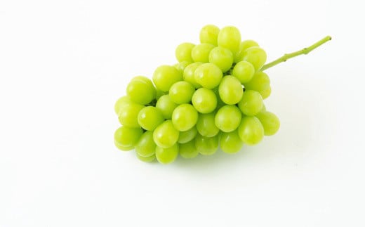 【先行予約】シャインマスカット 2房から3房 (約1.6kg) 【2025年9月上旬発送予定】 シャインマスカット 果物 フルーツ うきは市