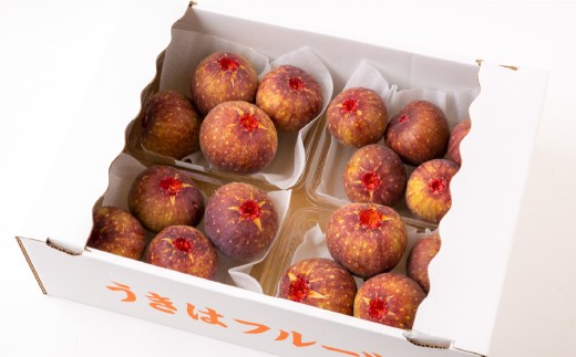 いちじく（とよみつひめ）8パック【2026年7月下旬～8月下旬発送予定】 いちじく フルーツ 果物 くだもの 冷蔵 福岡県 うきは市