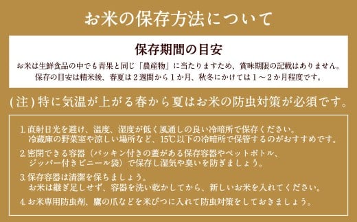 自然栽培 ひのひかり 玄米 10kg 【2025年10月下旬より発送予定】 米 お米 ご飯  うきは市