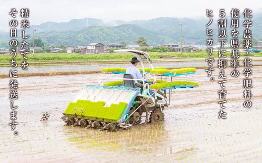 【2025年10月下旬より順次発送開始】野上耕作舎 野上米ヒノヒカリ 白米5kg ひのひかり 白米 米 お米 ご飯 国産 九州産 福岡県 うきは市
