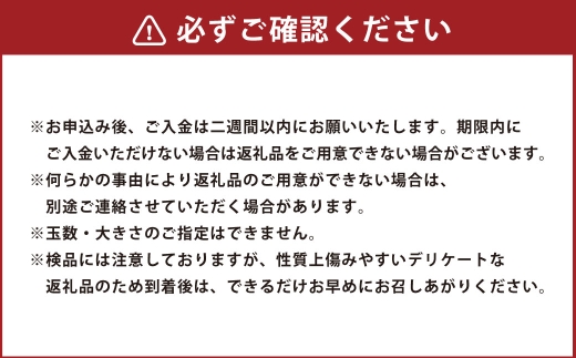 特選太秋柿 3玉 （ 約1kg ） 贈答用 ギフト 太秋柿 柿 フルーツ 果物 ギフト 完熟 【 2026年11月上旬～12月上旬発送予定 】