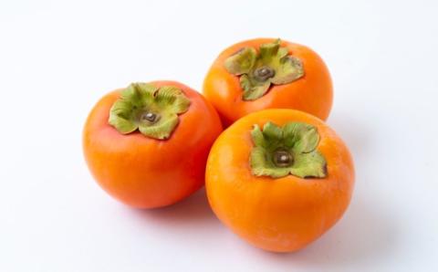 【先行予約】渡辺農園 富有柿 6玉前後 2025年11月中旬から12月上旬 出荷予定