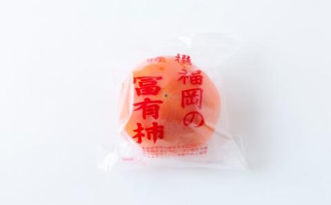 【先行予約】江藤農園 冷蔵富有柿 10玉から12玉 (約3kg) 2025年12月中旬から2026年1月中旬 出荷予定