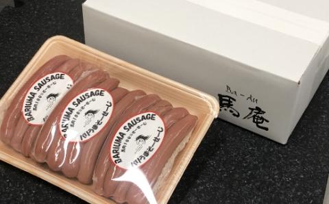馬庵このみ バリうまそーせーじ （4本×3パック） 馬肉ソーセージ ソーセージ 馬肉 馬肉100％ 低カロリー 高タンパク ジューシー おかず 惣菜 お弁当 おつまみ BBQ バーベキュー キャンプ お取り寄せ 福岡県 うきは市