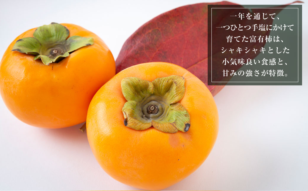 【先行予約】石井農園 富有柿 15玉から20玉 2025年11月中旬から12月上旬 出荷予定