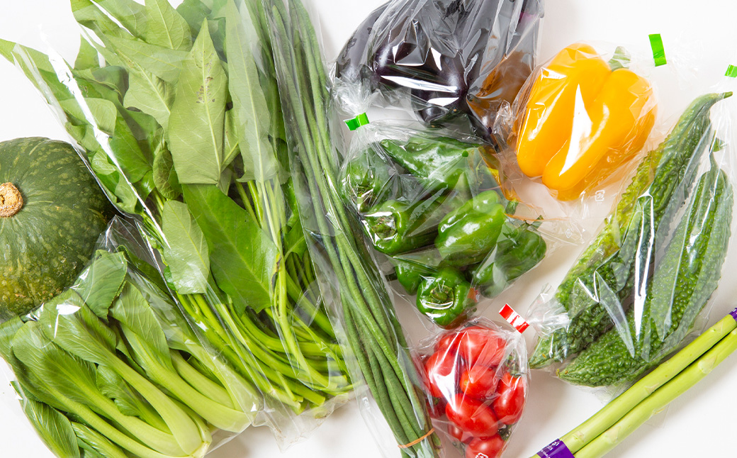 UIC 名水うきはの無農薬減農薬お野菜セットS