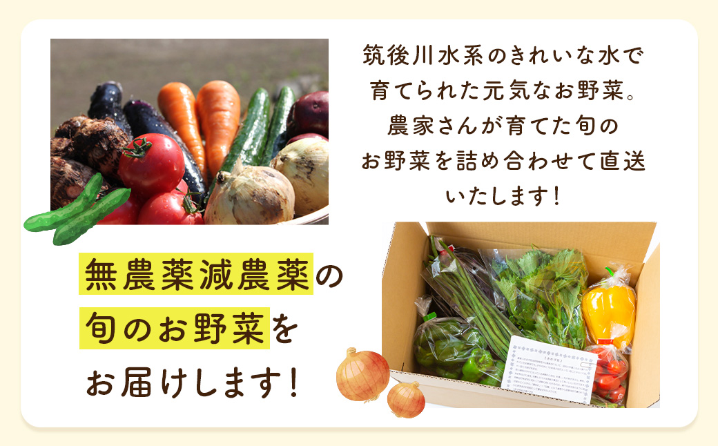【月2回定期便】UIC 名水うきはの無農薬減農薬お野菜セット (ひと月2回×2か月=計4回)