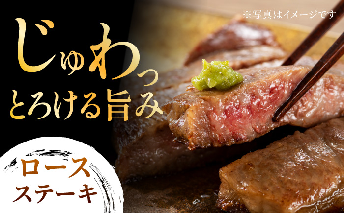 【6回定期便】ステーキ食べ比べ 博多和牛 赤身 ロース ステーキ 計700g【馬庵このみ】和牛 牛肉 食べ比べ ステーキ 希少部位 赤身 ロース 霜降り 肉 定期便