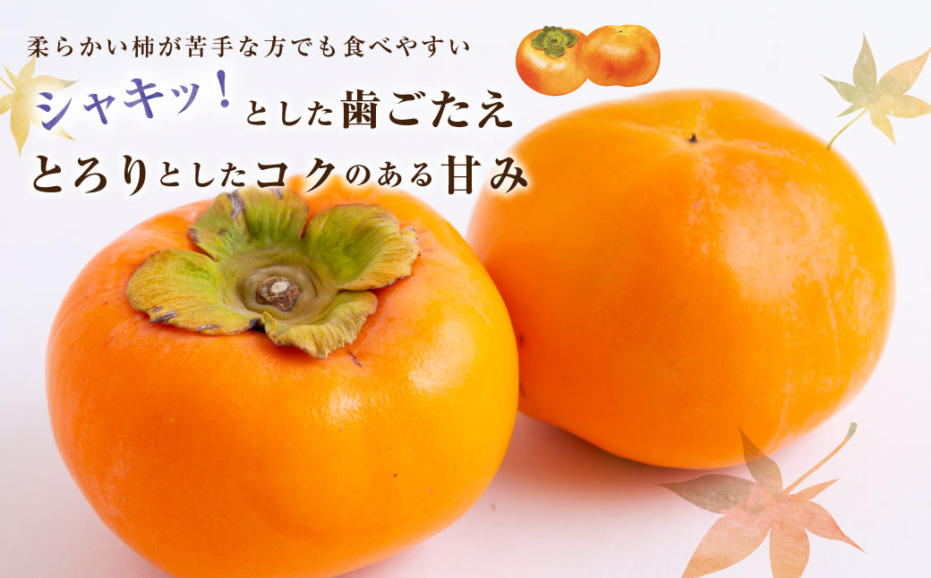 【先行予約】道の駅うきは 冷蔵富有柿 8玉から9玉 2025年12月中旬から2026年1月下旬 出荷予定