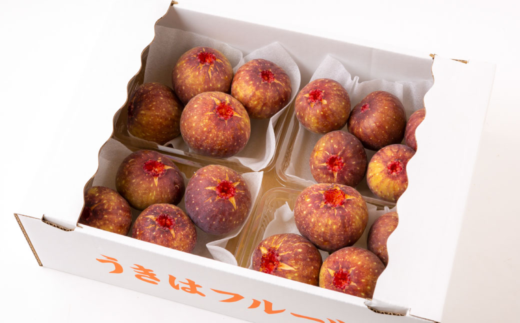 【先行予約】渡辺農園 いちじく (とよみつひめ) 4パック 【2025年7月下旬～2025年10月上旬 出荷予定】 フルーツ 果物 果実 常温 送料無料 福岡県 うきは市