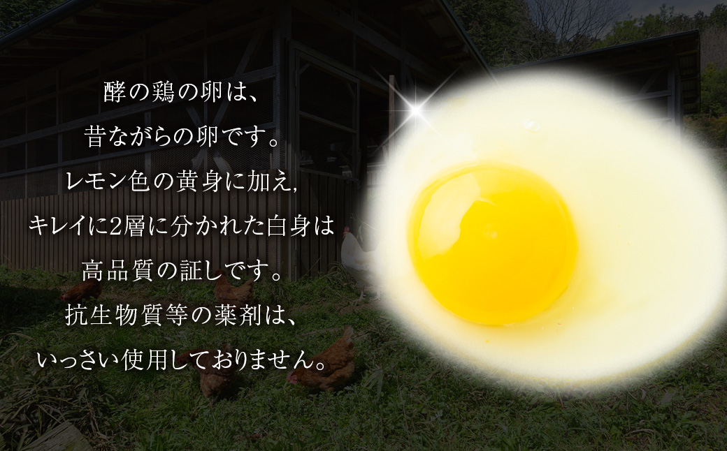 【3ヶ月定期便】iTo farm 酵の鶏 20個×3ヶ月お届け  鶏の卵 たまご 卵 玉子 タマゴ 鶏卵 オムレツ 卵かけご飯 朝食 料理 たまご焼き 福岡県 うきは市