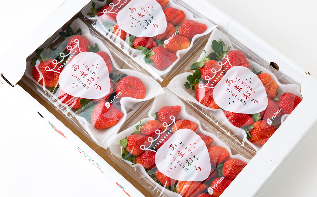 Green's 「いちごの王様」目指す福岡県産あまおう 250g×4パック 2月分 あまおう いちご イチゴ 苺 フルーツ 果物 冷蔵 送料無料 福岡県 うきは市 【2026年2月より順次発送予定】