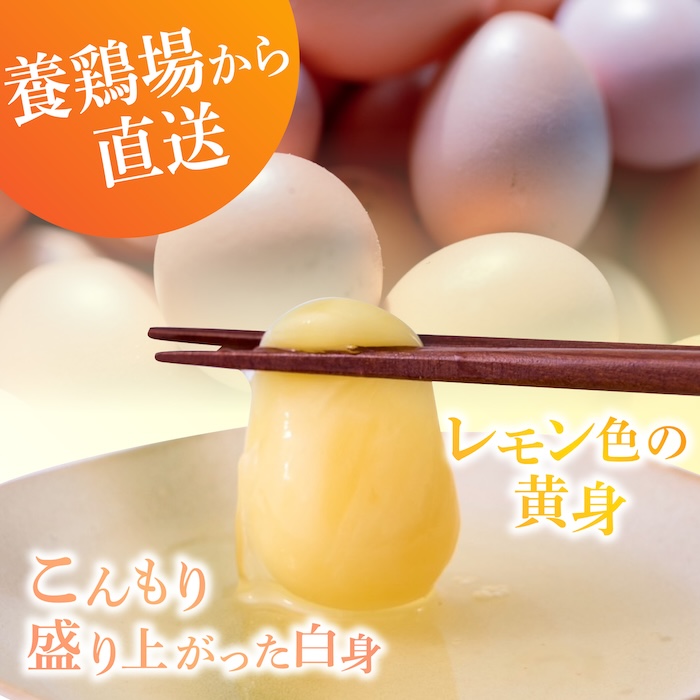【家族に食べさせたい】平飼い 山もりたまご 50個 安心安全 おいしさに感動 たまご 卵 高級卵 平飼い 安心安全 飼料にこだわり 成長剤 ホルモン剤 添加物不使用