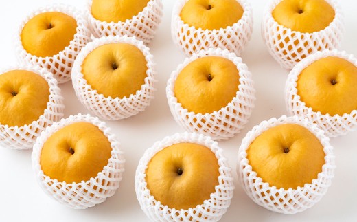 【先行予約】 梨の山茂梨園 新興梨 5玉から7玉（約2.5kg）【2026年10月上旬～11月上旬発送予定】 梨 なし ナシ 果物 くだもの フルーツ 果実 果汁 5玉 7玉