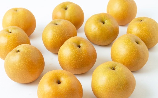 【先行予約】 鈴木農園 特撰甘果逸品 豊水梨 11玉から15玉 （約5kg） 【2026年8月下旬～9月上旬より順次発送予定】 完熟梨 梨 なし ナシ 豊水 ほうすい 果物 くだもの フルーツ 果実 新鮮 フレッシュ ジューシー お取り寄せ 福岡県 うきは市 冷蔵