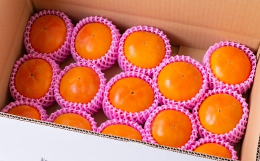 【先行予約】西見柿農園 冷蔵富有柿 12玉から15玉 2025年12月中旬から2026年1月下旬 出荷予定